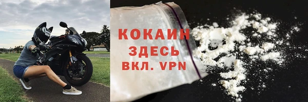 a pvp Пересвет
