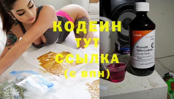 a pvp Пересвет