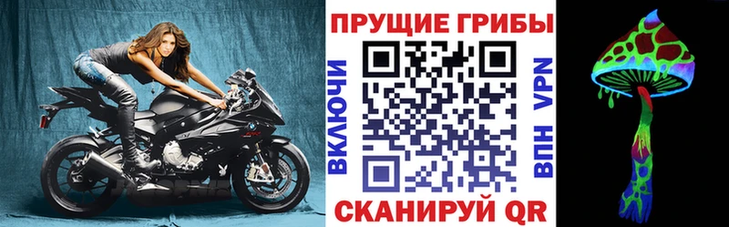 darknet какой сайт  ОМГ ОМГ сайт  Пудож  Галлюциногенные грибы прущие грибы 